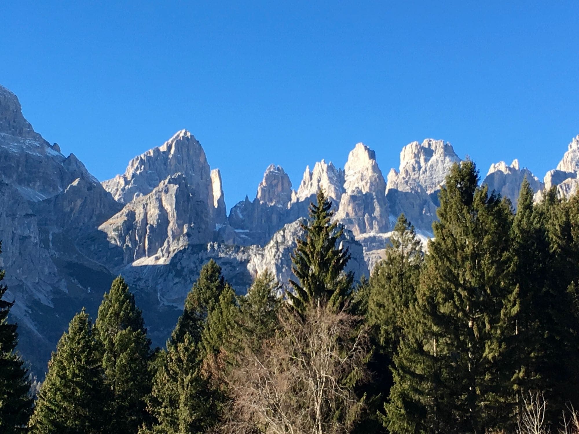 Pale limestone spires of the Brenta Dolomites under a clear blue sky, above a forest of dark firs.